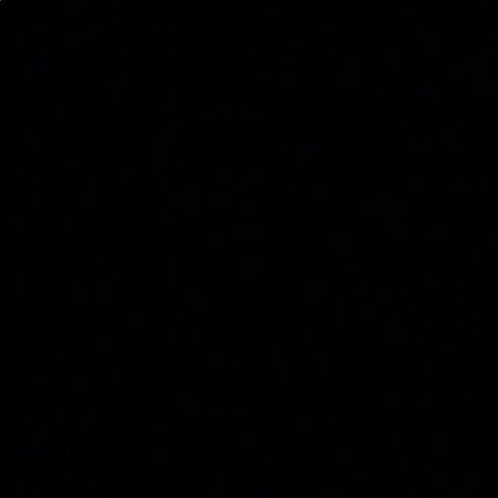 Meet your Posher, Ella